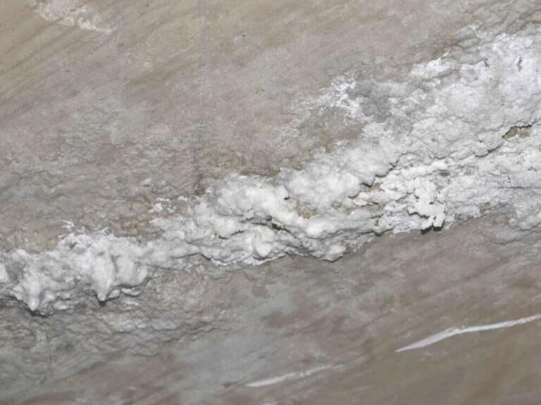 Signs Your Basement Needs Waterproofing