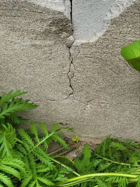 Waterproofing membrane application on Bradford home foundation