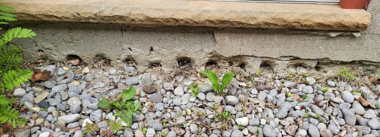 Weeping tile installation and drainage system in Bradford